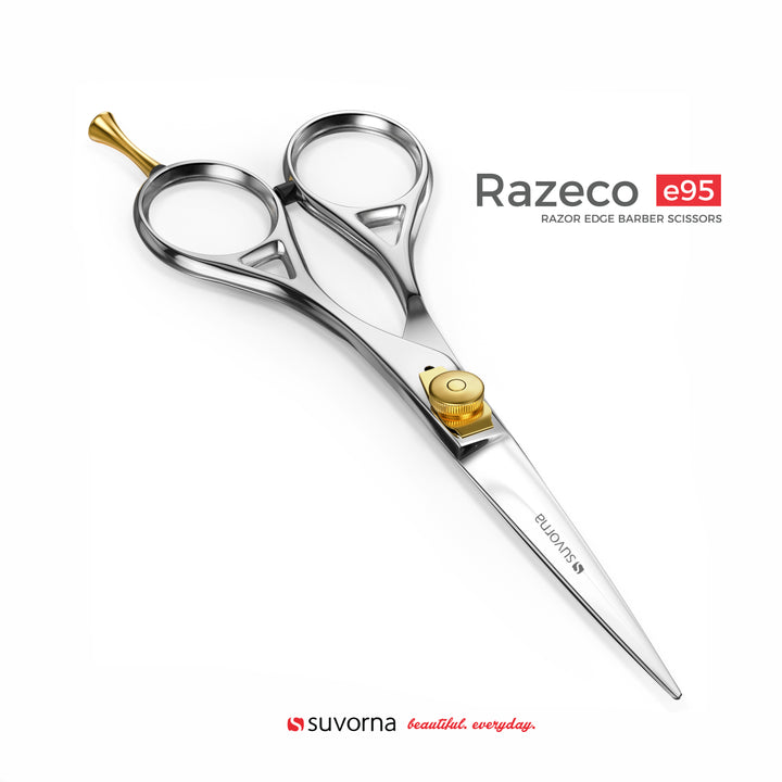 Razeco e95